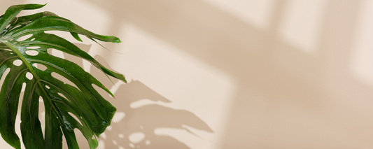 Ways to Save with Vita! - Vita Beauty Bar